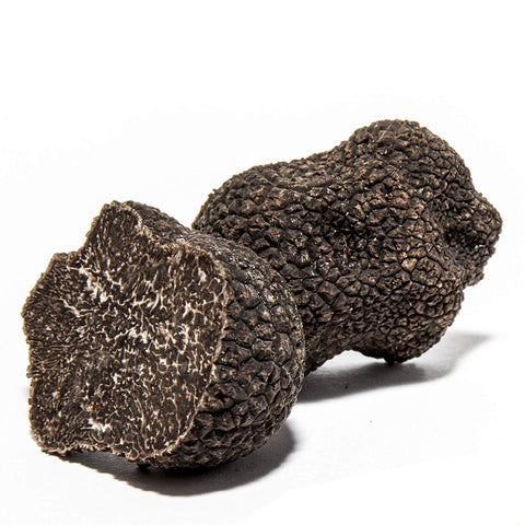 Fresh Black Truffles | Tuber Melanosporum | Australian Black Truffles 1.5 Ounces