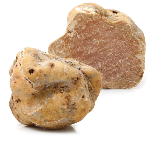 Fresh White Truffles (Tuber Magnatum Pico) 1 ounce/ 28 gr.