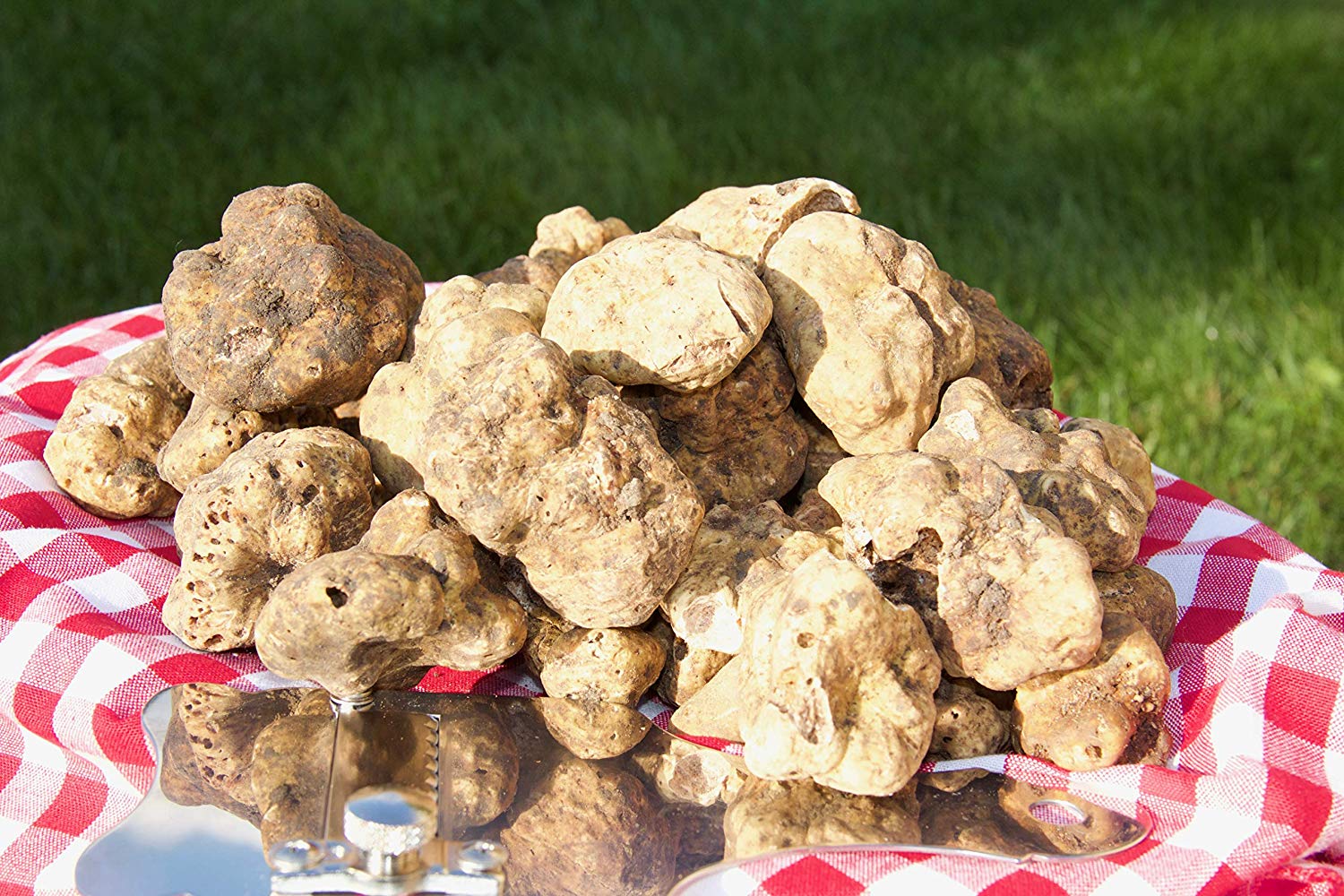 White Truffles (Tuber Magnatum Pico) Flash Frozen 6 ounces/ 170 gr.